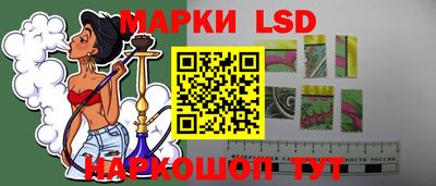 индика Беслан