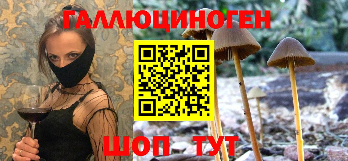Псилоцибиновые грибы мицелий Архангельск